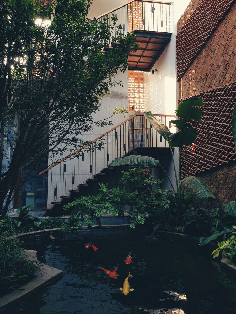 Mẫu hồ koi sân vườn nhà phố đẹp